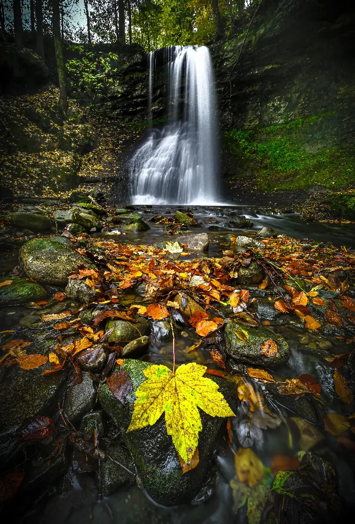 Cascade d'automne
