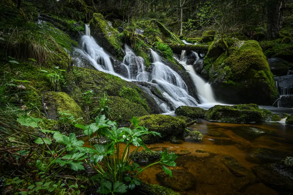 Petite cascade 